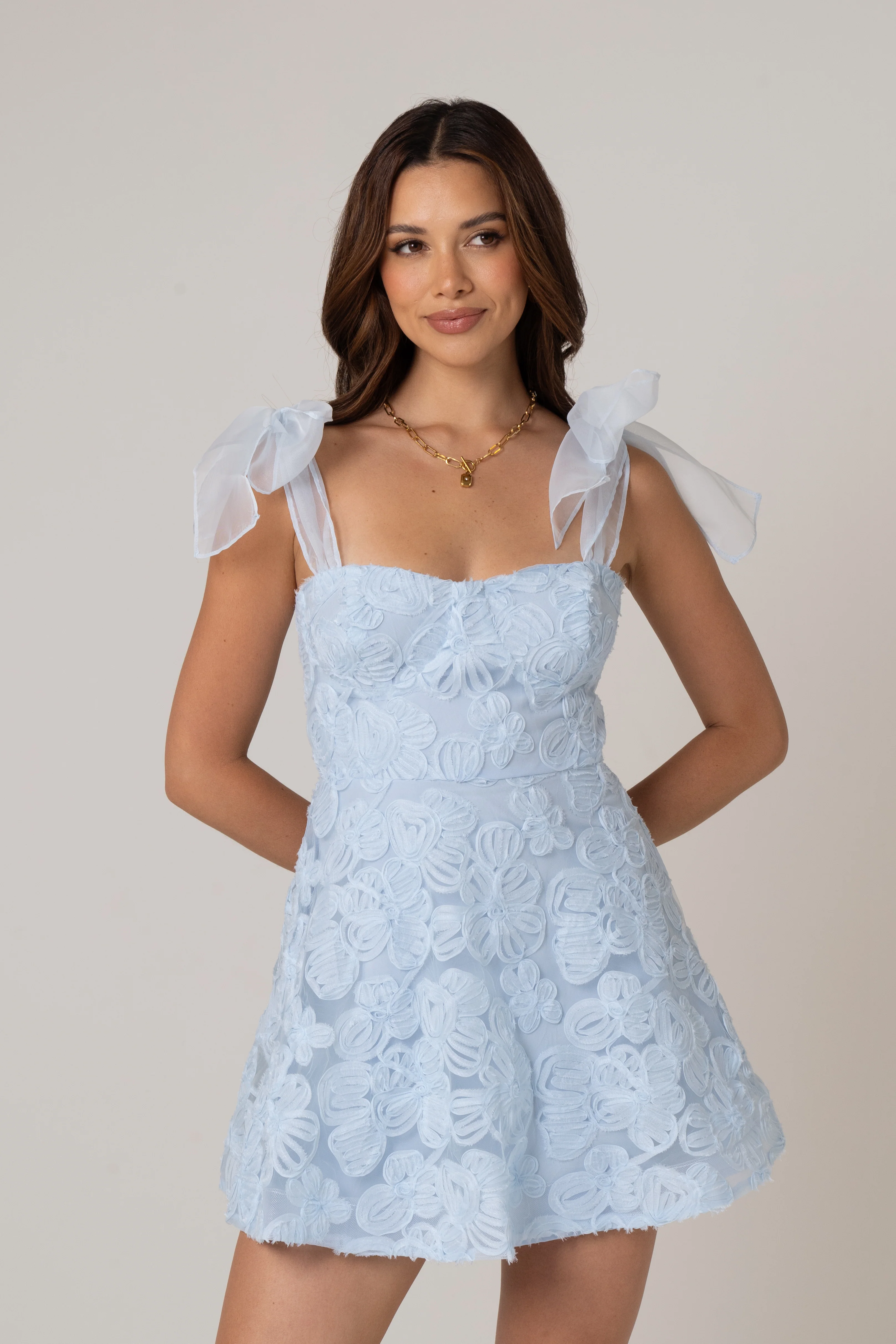 Lucille Mini Dress with Sheer Tie Straps - Image 4